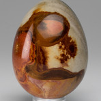 Polished Polychrome Jasper Egg // 0.74lbs