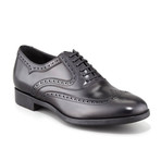 Sinesio Leather Wingtip Shoes // Black (US: 11)
