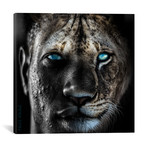 Lion Man // Paul Haag (18"W x 18"H x 0.75"D)