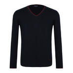 Barnabas V-Neck Sweater // Navy + Red (S)