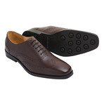 Wingtip Oxford // Brown (US: 11)