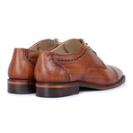 Captoe Brogue Derby // Wooden (US: 8)