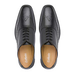 Wingtip Oxford // Black (US: 11)