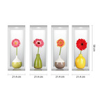 3D Germinis in Colorful Vases