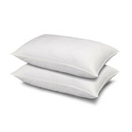Overstuffed Gel Filled Side/Back Sleeper Pillow // Set of Two (Standard)