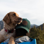 Great Smoky Mountains National Park Hat // Forest Green