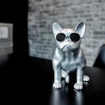 Aerobull HD1 // Metallic Gray