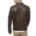 Fernandez Leather Jacket // Brown (S)