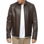 Fernandez Leather Jacket // Brown (2XL)