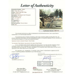 Titanic // Leonardo DiCaprio + Kate Winslet