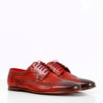 Argento Classic Shoes // Bordeaux (Euro: 42)