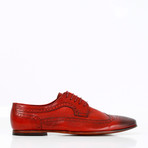 Argento Classic Shoes // Bordeaux (Euro: 42)