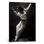 Fashion Model Underwater in Dolphin Tank // Print Collection (12"W x 18"H x 0.75"D)