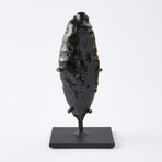 Large Mayan Obsidian Spear Blade