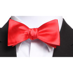 Self Tie Silk Bow Tie // Solid Red