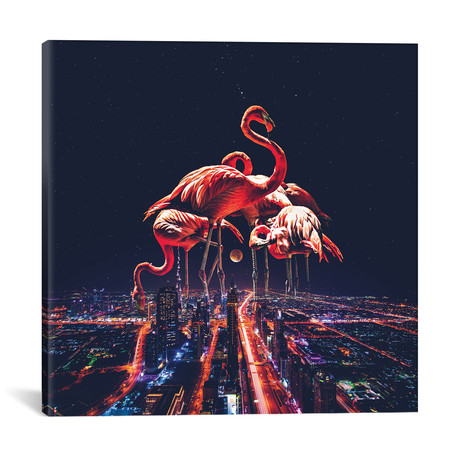 Flamingo Nights Faded // Soaring Anchor Designs (18"W x 18"H x 0.75"D)