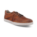 Muller Sneakers // Cognac (US: 9)