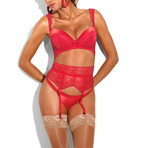 Si Garter Belt // Red (M)