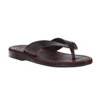 Solomon Sandal // Brown (Euro: 42)