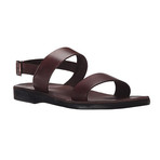 Golan Sandal // Brown (Euro: 42)