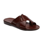 Asher Sandal // Brown (Euro: 41)