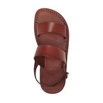 Golan Sandal // Brown (Euro: 43)