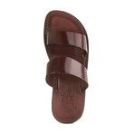 Aviv Sandal // Brown (Euro: 47)