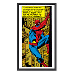 Spiderman Comic Book Wall Art (16"W x 12"H)