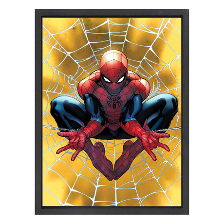 Spiderman Spider Web Wall Art (16"W x 12"H)