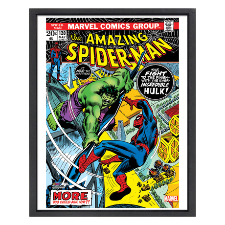 Spider Man vs. The Incredible Hulk Comic Cover Wall Art (16"W x 12"H)
