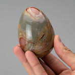 Natural Polished Polychrome Jasper Egg // Black + Brown