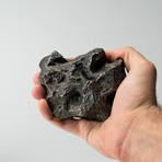 Campo del Cielo Meteorite // 3lbs.