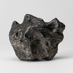 Campo del Cielo Meteorite // 3lbs.