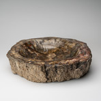 Petrified Wood Slice Bowl