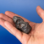 Campo del Cielo Meteorite // 0.4lbs.