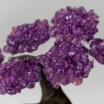 The Protection Tree // Amethyst Clustered Gemstone Tree on Amethyst Matrix (Small)