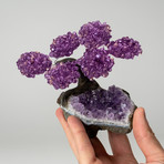 The Protection Tree // Amethyst Clustered Gemstone Tree on Amethyst Matrix (Small)