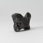 Campo del Cielo Meteorite // 0.5lbs.