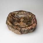 Petrified Wood Slice Bowl