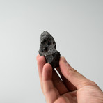 Campo del Cielo Meteorite // 0.4lbs.