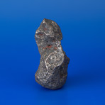 Campo del Cielo Meteorite // 0.4lbs.