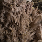 Natural Gypsum Variety Selenite on Quartz