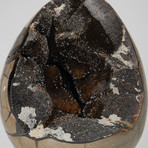 Polished Septarian Egg