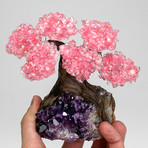 The Love Tree // Rose Quartz Clustered Gemstone Tree on Amethyst Matrix (Small)