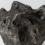 Campo del Cielo Meteorite // 3lbs.