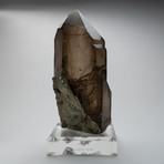 Natural Smokey Quartz on Display // Large