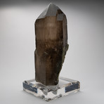 Natural Smokey Quartz on Display // Large