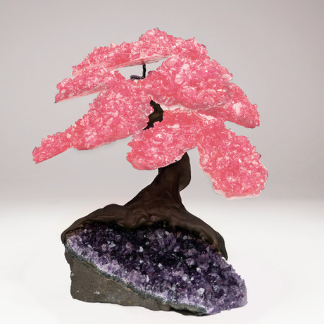 The Love Tree // Rose Quartz Clustered Gemstone Tree on Amethyst Matrix (Small)