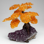 The Money Tree // Citrine Clustered Gemstone Tree on Amethyst Matrix (Small)