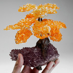 The Money Tree // Citrine Clustered Gemstone Tree on Amethyst Matrix (Small)